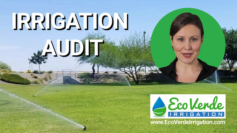 SERVICES: Irrigation Audit